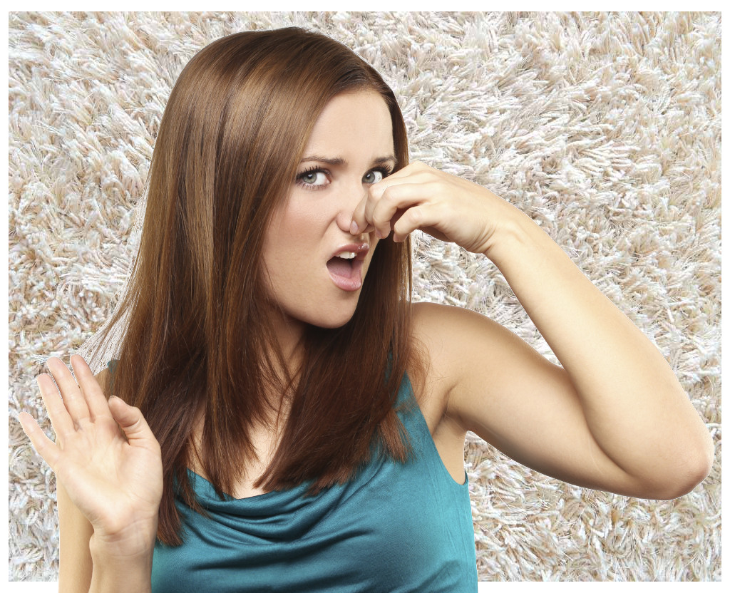 Smelly Carpets - Carpet Cleaning Springfield
