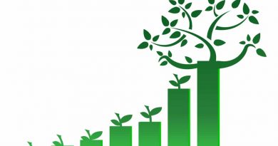sustainability is important for companies