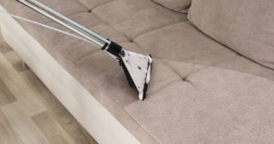 Why Professional Upholstery Cleaning Services Should Be Used