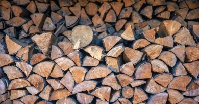Wood Fuels Industry in the UK: The Current Tendencies & Popular Manufacturers