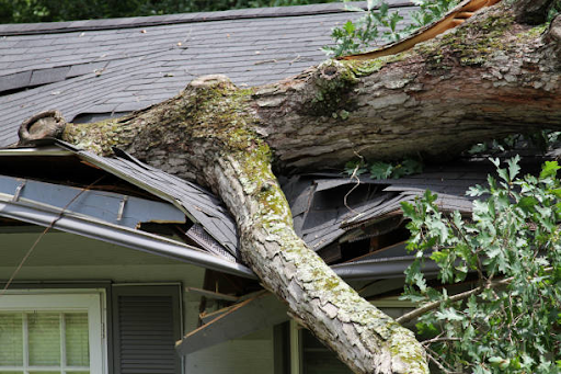 https://www.istockphoto.com/photo/storm-damage-tree-splits-a-roof-gm1397407913-451850107